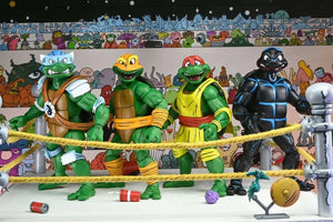 [PREORDINE] TMNT Archie Comics - Action Figure 4-Pack Stump Wrestling Turtles
