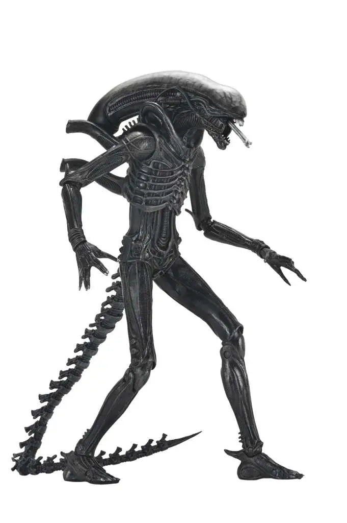 [PREORDINE] Alien Romulus Xenomorph XX121 Ultimate Action Figure NECA