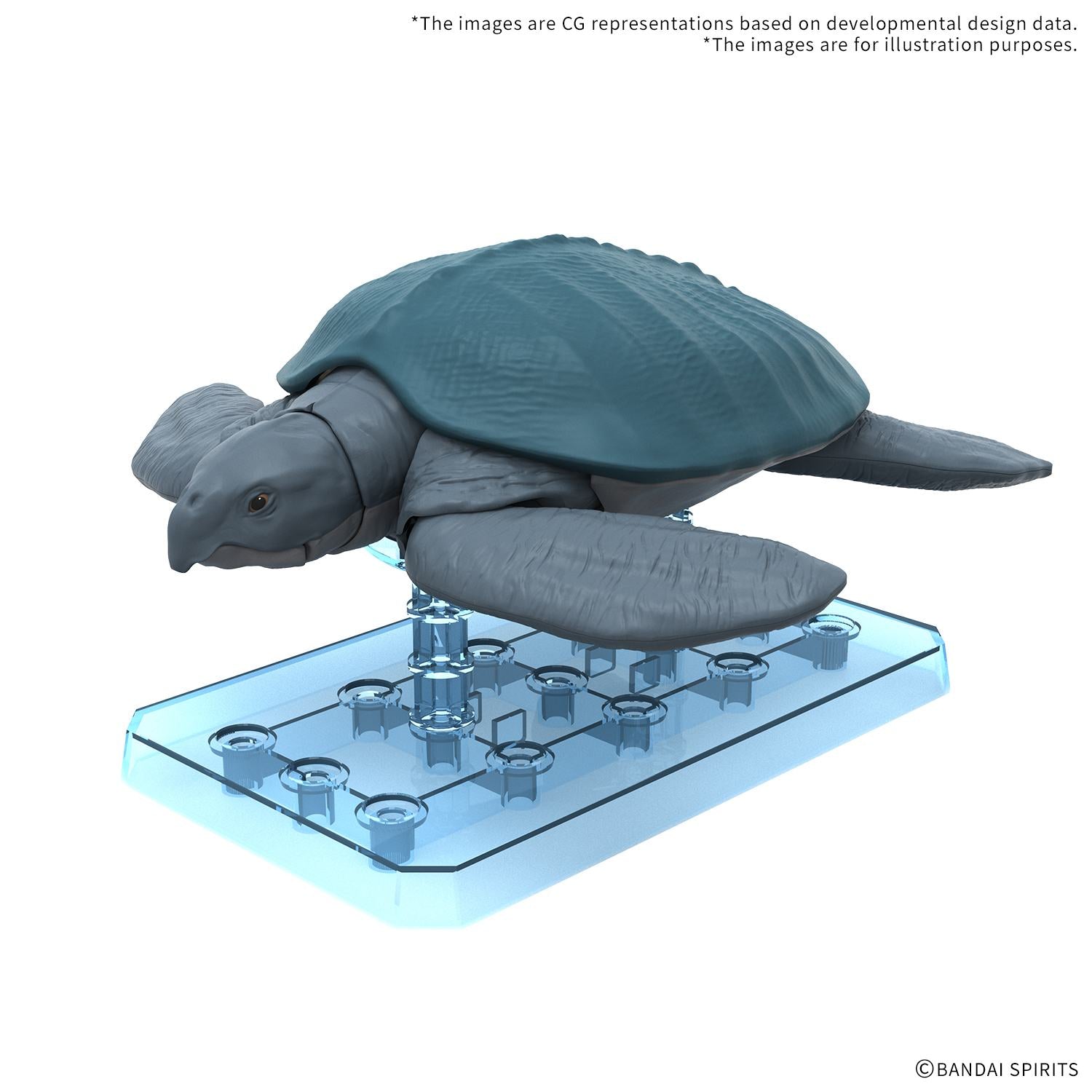 [PREORDINE] Bandai Model Kit Plannosaurus Archelon - Dinosauro da Montare