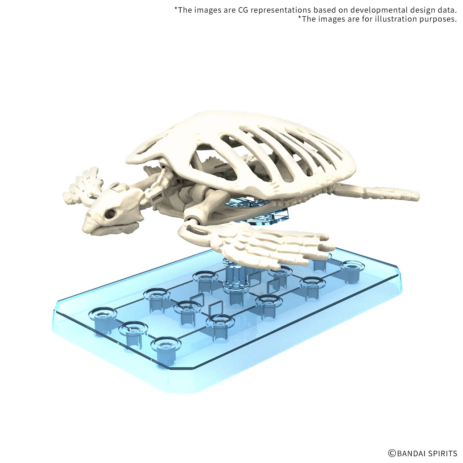 [PREORDINE] Bandai Model Kit Plannosaurus Archelon - Dinosauro da Montare
