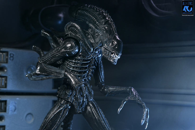 [PREORDINE] ALIENS 40TH ANNIVERSARY WARRIOR XENOMORPH BLACK ULTIMATE AF