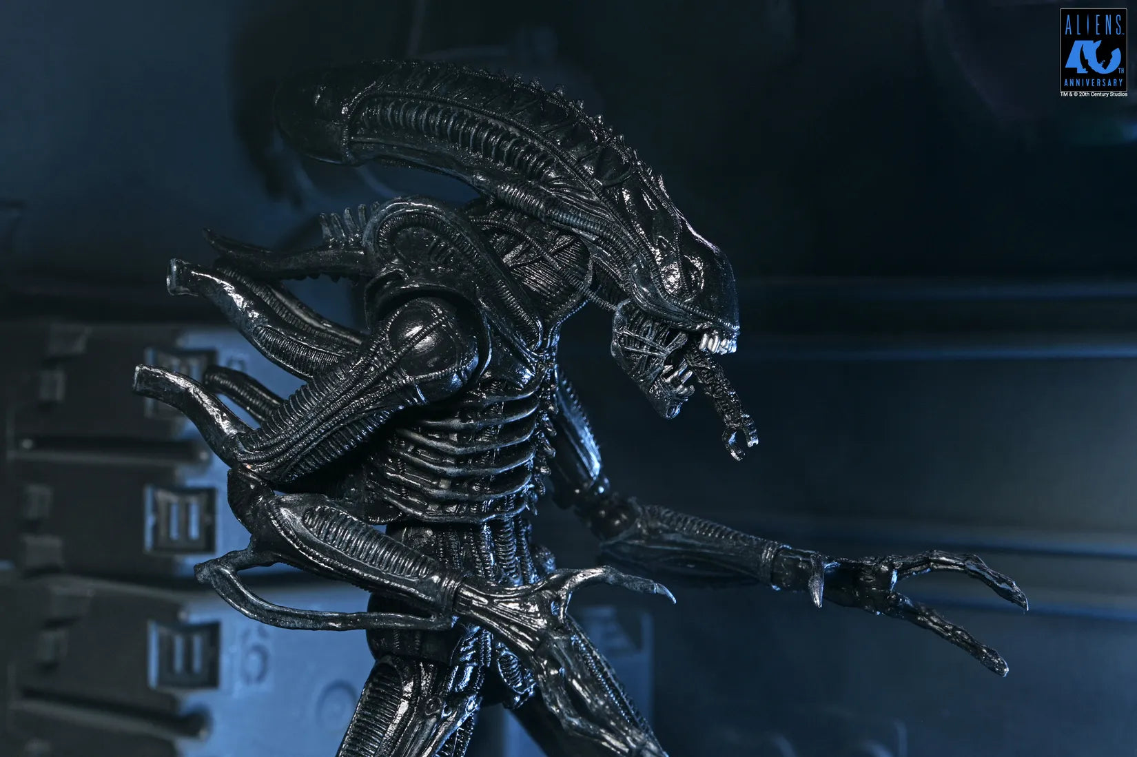 [PREORDINE] ALIENS 40TH ANNIVERSARY WARRIOR XENOMORPH BLACK ULTIMATE AF