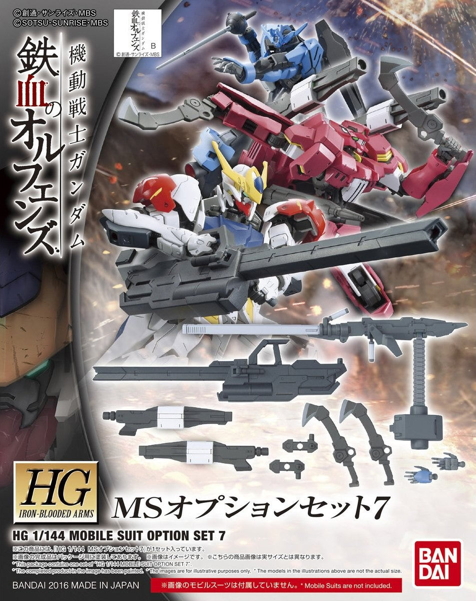 HG IBA 007 MS Option Set 7