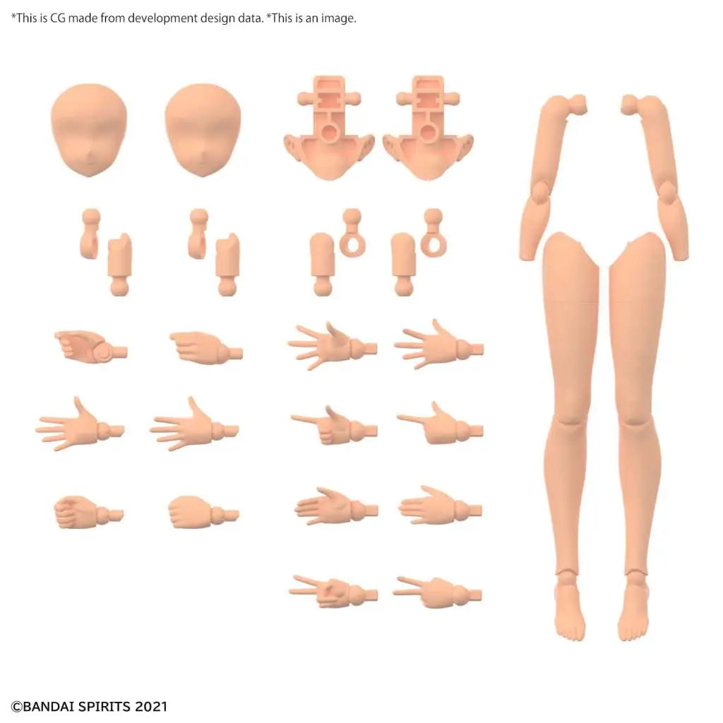 [PREORDINE] 30MS OP Body Parts Arm & Leg Color C - Model Kit Bandai