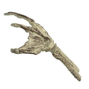 [PREORDINE] Replica Mano Fossile Creature from the Black Lagoon - Factory Ent.