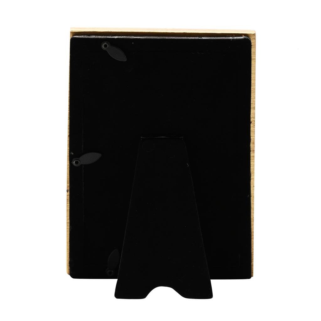 HARRY POTTER - Hedwig - 3D Photo Frame