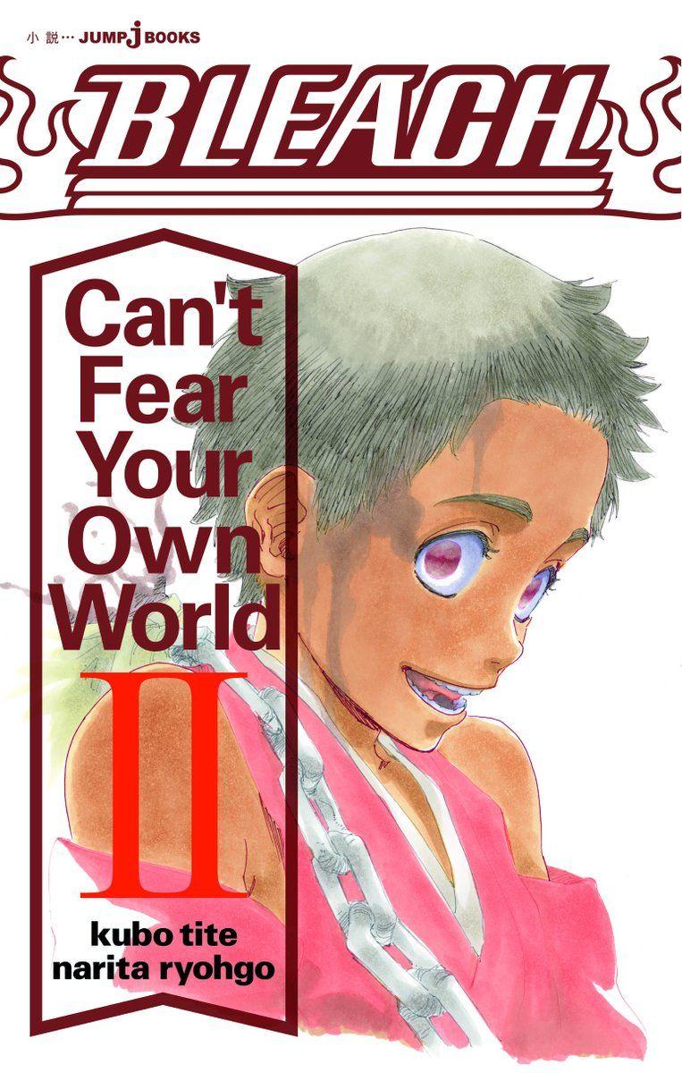 BLEACH - Can't Fear Your Own World - Roman - Tome 2
