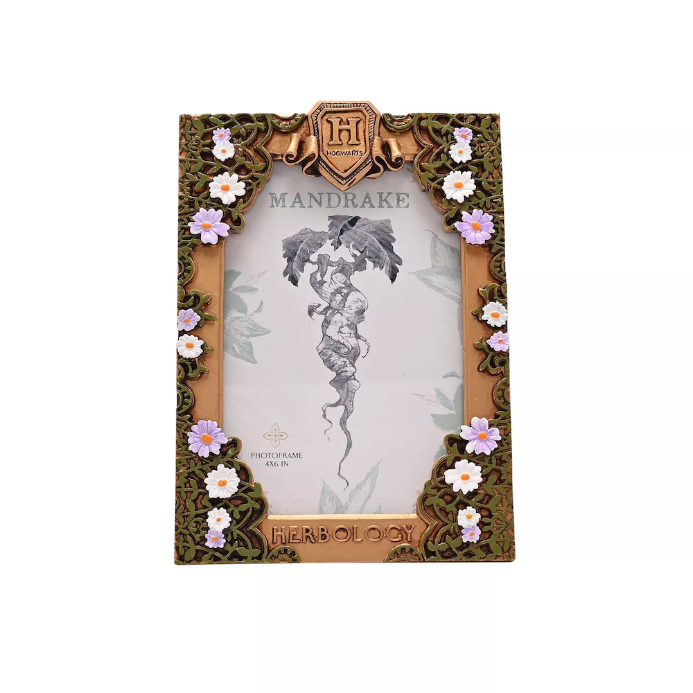 HARRY POTTER - Herbology - 3D Photo Frame