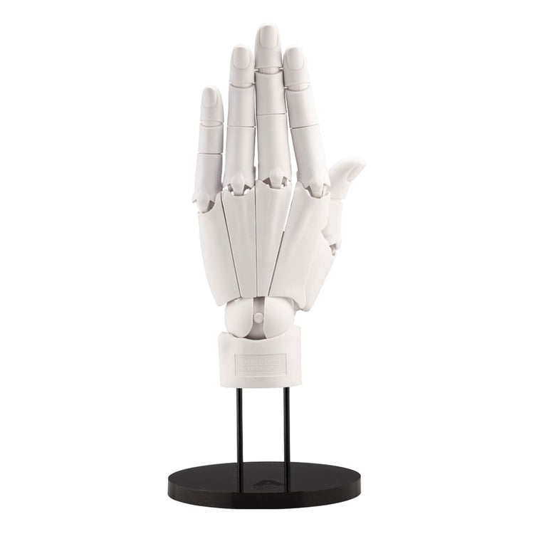 [PREORDINE] Modello Mano Artistica Takahiro Kagami 1/1 - Bianco - 21 cm - Kotobukiya - Statue