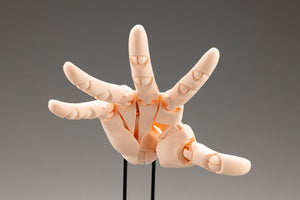 [PREORDINE] Modello Mano Takahiro Kagami - Pale Orange 21 cm - Kotobukiya - Statue