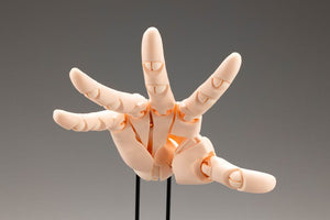 [PREORDINE] Modello Mano Takahiro Kagami - Pale Orange 21 cm - Kotobukiya - Kotobukiya - Statue
