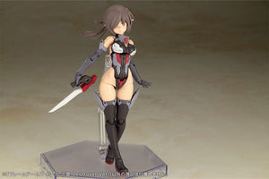 Frame Arms Girl Model Kit: Izumo Destroyer Ver. 17cm - Kotobukiya - Model kit