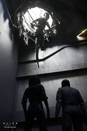 [PREORDINE] Alien: Romulus Action Figure Deluxe Xenomorph XX121 Sospeso 18 cm - NECA - Action figures