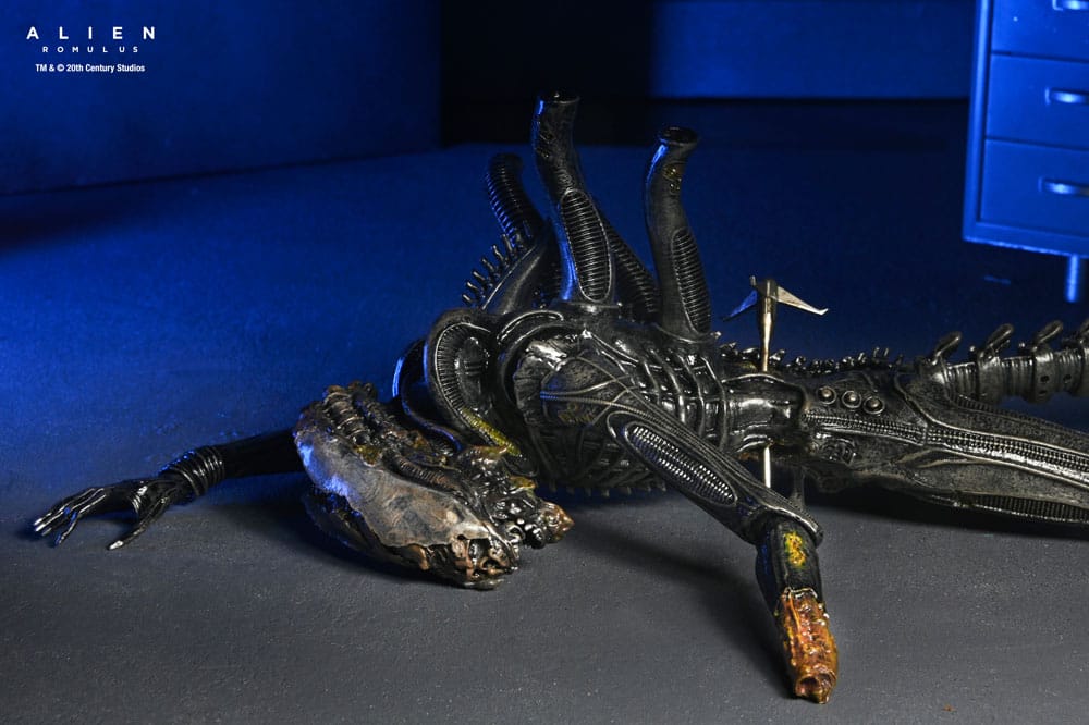 [PREORDINE] Alien: Romulus Action Figure Deluxe Xenomorph XX121 Sospeso 18 cm - NECA - Action figures