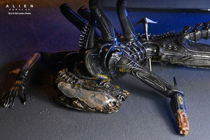 [PREORDINE] Alien: Romulus Action Figure Deluxe Xenomorph XX121 Sospeso 18 cm - NECA - Action figures