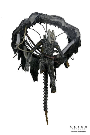 [PREORDINE] Alien: Romulus Action Figure Deluxe Xenomorph XX121 Sospeso 18 cm - NECA - Action figures
