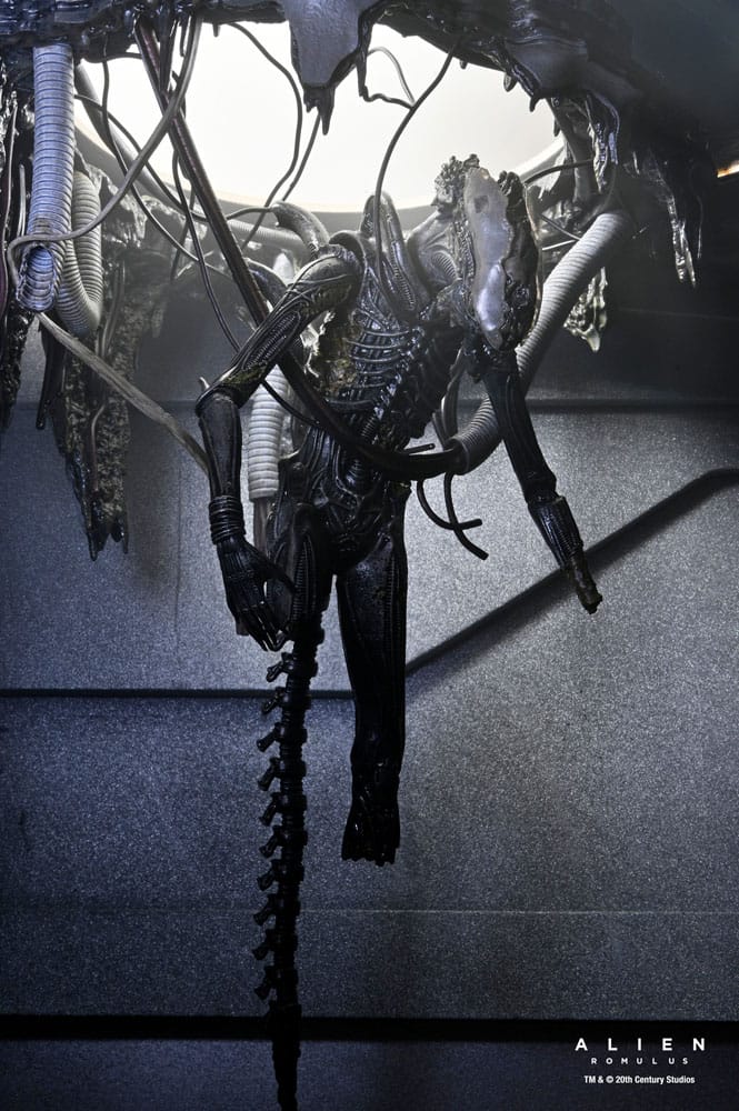 [PREORDINE] Alien: Romulus Action Figure Deluxe Xenomorph XX121 Sospeso 18 cm - NECA - Action figures