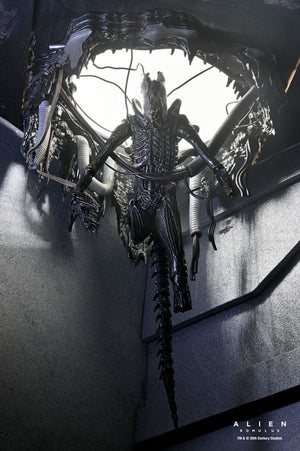 [PREORDINE] Alien: Romulus Action Figure Deluxe Xenomorph XX121 Sospeso 18 cm - NECA - Action figures