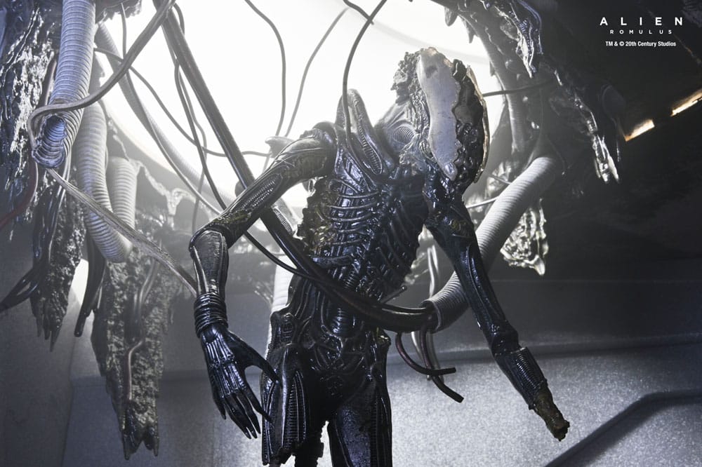 [PREORDINE] Alien: Romulus Action Figure Deluxe Xenomorph XX121 Sospeso 18 cm - NECA - Action figures