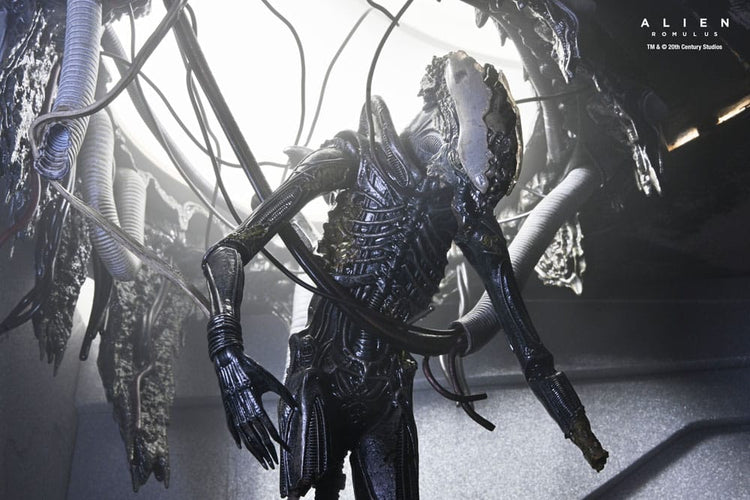 [PREORDINE] Alien: Romulus Action Figure Deluxe Xenomorph XX121 Sospeso 18 cm - NECA - Action figures