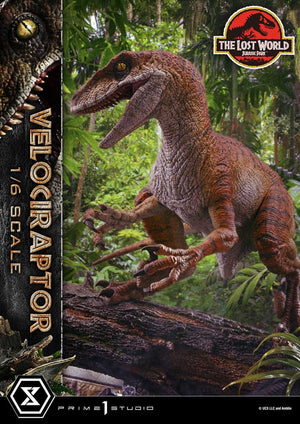 [PREORDINE] Jurassic Park II - Legacy Museum Collection Statua 1/6 Velociraptor 41 cm - Prime 1 Studio - Statue