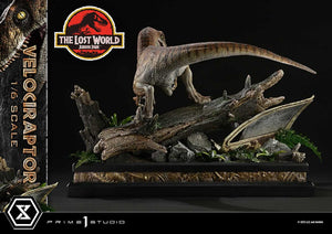 [PREORDINE] Jurassic Park II - Legacy Museum Collection Statua 1/6 Velociraptor 41 cm - Prime 1 Studio - Statue