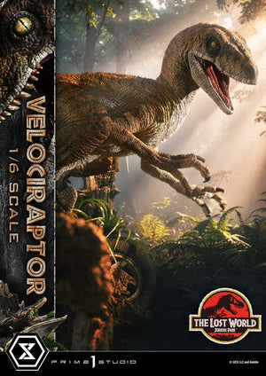 [PREORDINE] Jurassic Park II - Legacy Museum Collection Statua 1/6 Velociraptor 41 cm - Prime 1 Studio - Statue