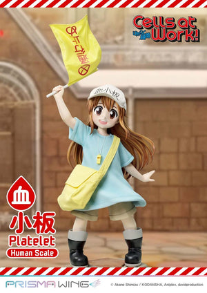 [PREORDINE] Cells at Work! Statua Platelet Life Scale Masterline 100 cm - Prime 1 Studio - Statue