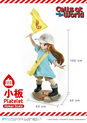 [PREORDINE] Cells at Work! Statua Platelet Life Scale Masterline 100 cm - Prime 1 Studio - Statue