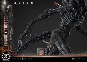 [PREORDINE] Alien: Romulus - Statua Museum Masterline XL 1/3 Xenomorph Bruciato 98 cm - Prime 1 Studio - Statue