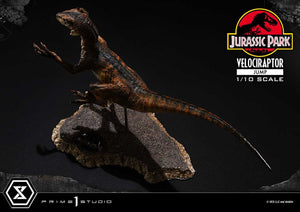 Statua Velociraptor Jump 1/10 Jurassic Park Prime 1 Studio - Prime 1 Studio - Statue