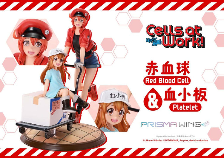 [PREORDINE] Statua Cells at Work! - Red Blood Cell & Platelet 26 cm - Prime 1 Studio - Statue