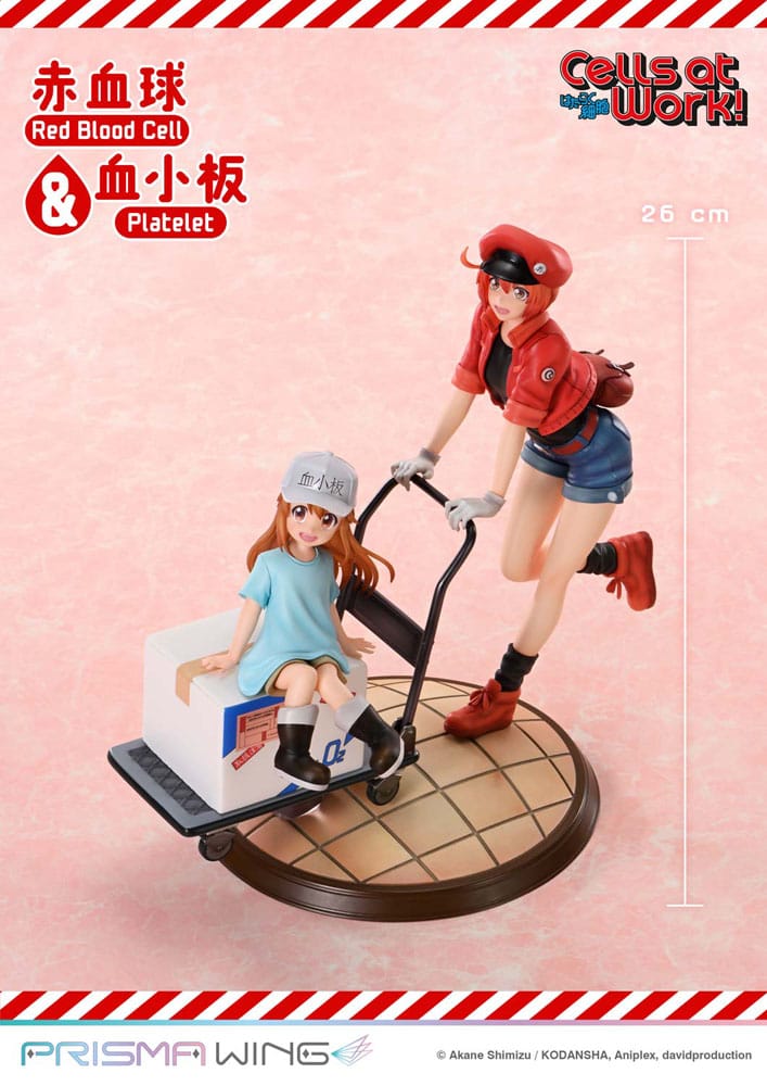 [PREORDINE] Statua Cells at Work! - Red Blood Cell & Platelet 26 cm - Prime 1 Studio - Statue