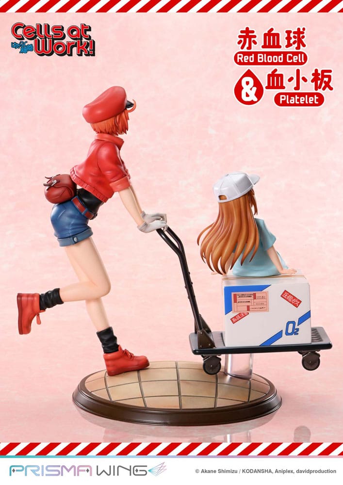 [PREORDINE] Statua Cells at Work! - Red Blood Cell & Platelet 26 cm - Prime 1 Studio - Statue