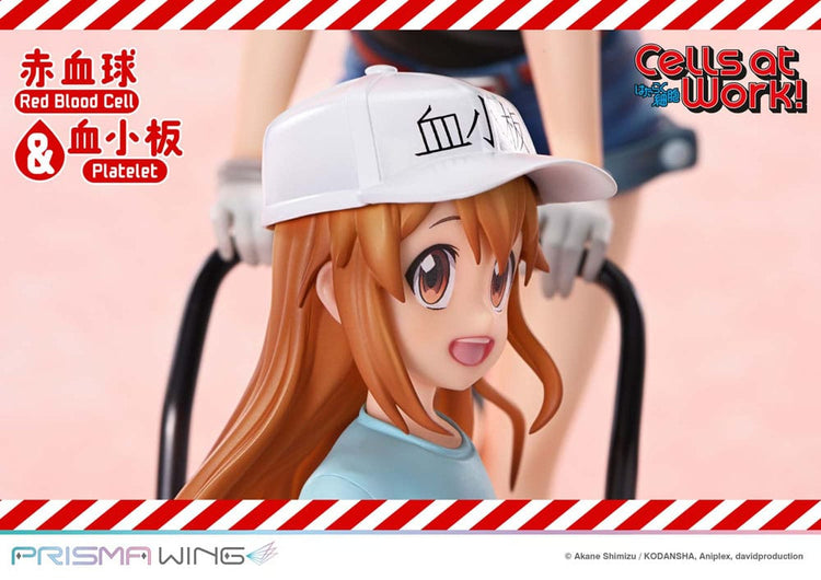 [PREORDINE] Statua Cells at Work! - Red Blood Cell & Platelet 26 cm - Prime 1 Studio - Statue